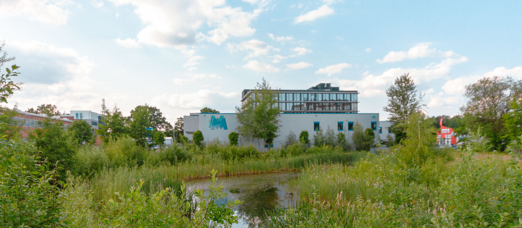 Nature in the Friedrich-Ebert-Damm industrial area